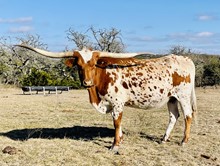 JH RURAL LEGEND