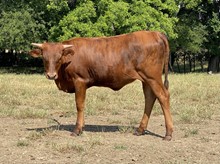 4L Rural Holiday