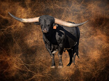 SEMEN-JH LIGHTNING IN A BOTTLE- 2 SEXED STRAWS